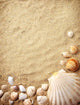shells on sand Wall Mural