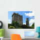 Blarney Castle of Ireland Wall Mural
