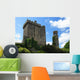 Blarney Castle of Ireland Wall Mural