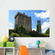 Blarney Castle of Ireland Wall Mural