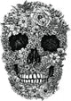 Flower Skull Vector