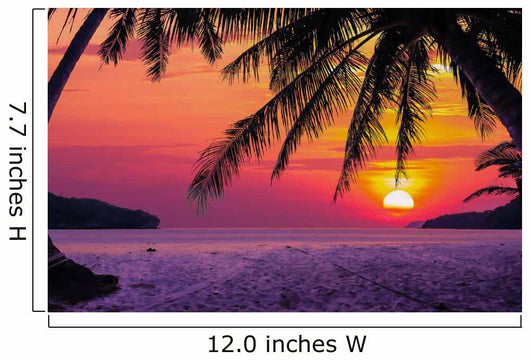 Silhouetted of Coconut Tree Wall Mural