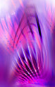 Magic Background in Pink and Purple - Abstract 3D Wall Mural