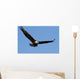 Bald eagle Wall Mural