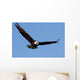Bald eagle Wall Mural