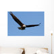 Bald eagle Wall Mural