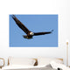 Bald eagle Wall Mural