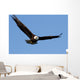 Bald eagle Wall Mural