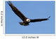 Bald eagle Wall Mural