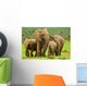 Elephant Family