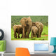 Elephant Family