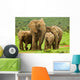 Elephant Family