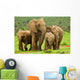 Elephant Family