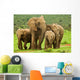 Elephant Family