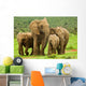 Elephant Family