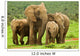 Elephant Family
