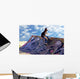 Skateboarder Wall Mural