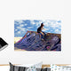 Skateboarder Wall Mural