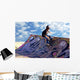 Skateboarder Wall Mural