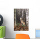 Grey Wolf Howling Wall Mural