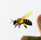 Bee Vector Illustration Wall Decal