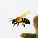 Bee Vector Illustration Wall Decal