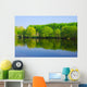Forest Lake Wall Mural