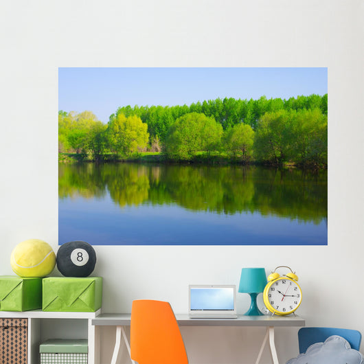 Forest Lake Wall Mural