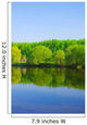 Forest Lake Wall Mural