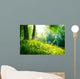 Spring Nature Beautiful Landscape