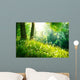 Spring Nature Beautiful Landscape