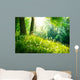 Spring Nature Beautiful Landscape