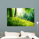 Spring Nature Beautiful Landscape