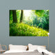 Spring Nature Beautiful Landscape