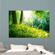 Spring Nature Beautiful Landscape