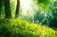 Spring Nature Beautiful Landscape