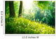 Spring Nature Beautiful Landscape