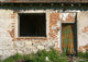 Old Ruined House