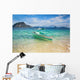 Outrigger Boat Perfect Tropical Wall Mural