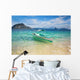 Outrigger Boat Perfect Tropical Wall Mural