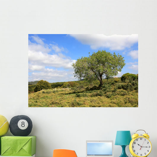 Israel Landscape