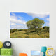Israel Landscape
