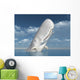 White Whale Wall Mural