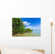 Mangroves Sea