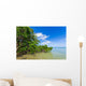 Mangroves Sea