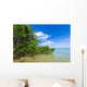 Mangroves Sea
