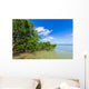 Mangroves Sea