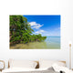 Mangroves Sea