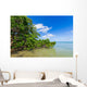 Mangroves Sea