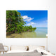 Mangroves Sea